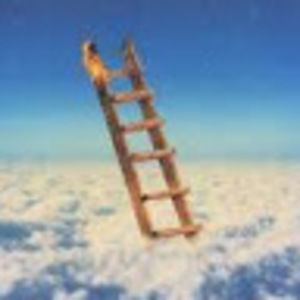 Meet your Posher, Stevan